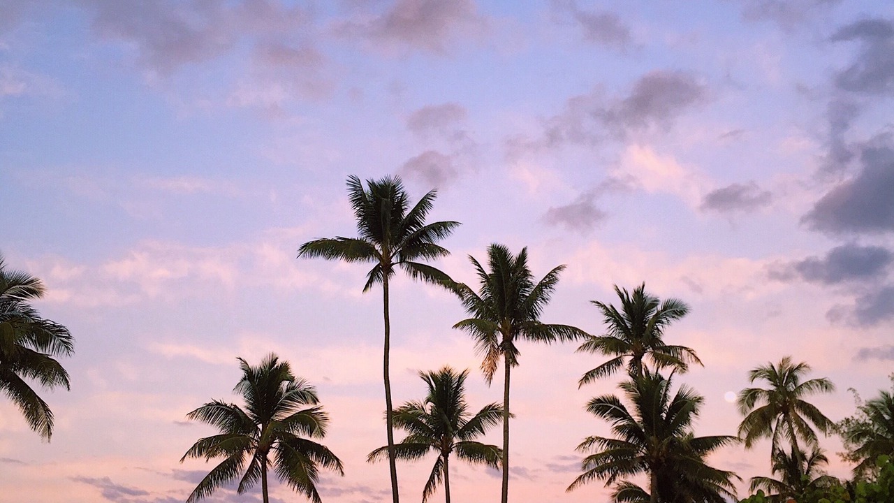 Photo of Outdoor in Lanikai