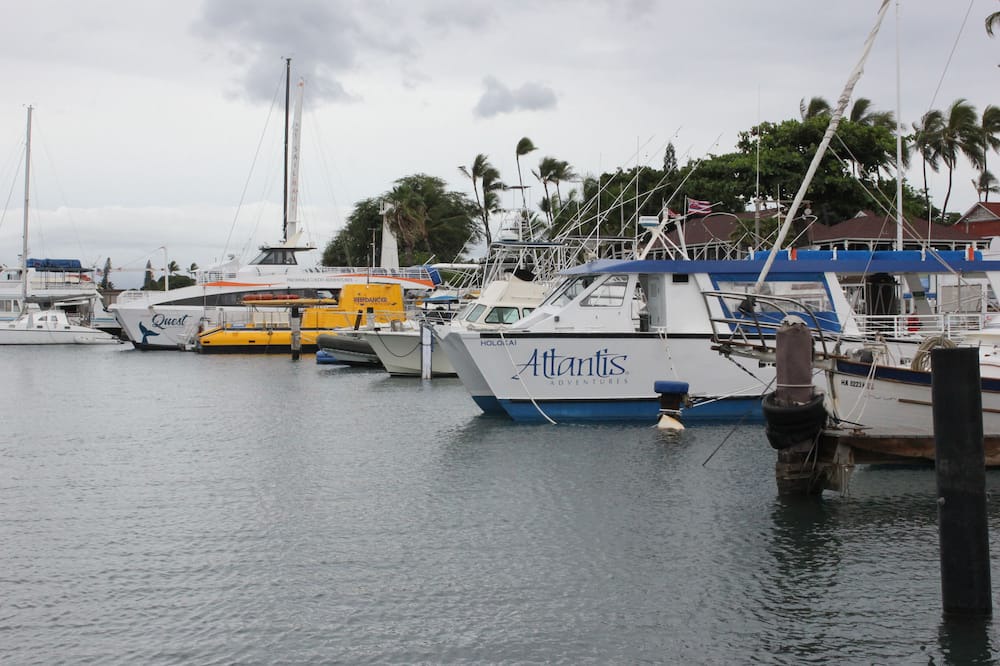 Photo of Others in Historic Lahaina Front Street