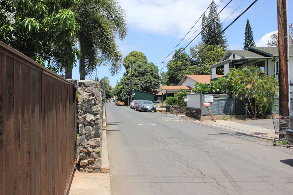 Photo of Others in Historic Lahaina Front Street
