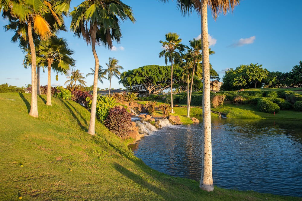 Photo of Others in Ko Olina