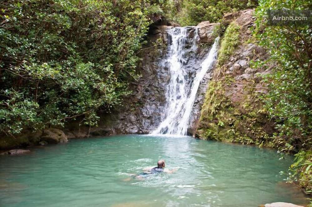 Photo of Others in Laie