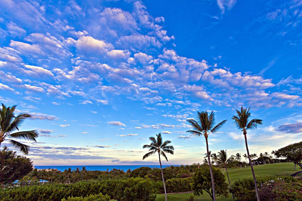 Photo of Others in Keauhou