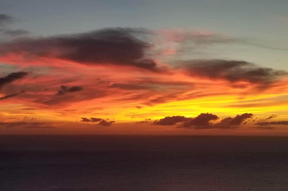 Photo of Others in Kona Paradise