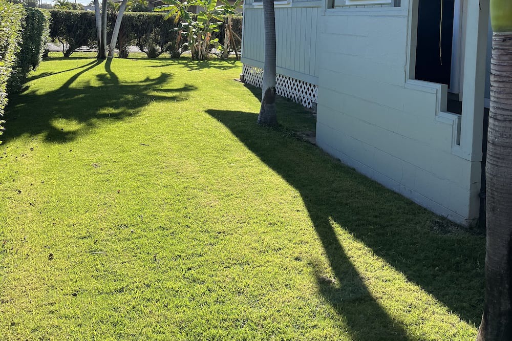 Photo of Others in Kekaha