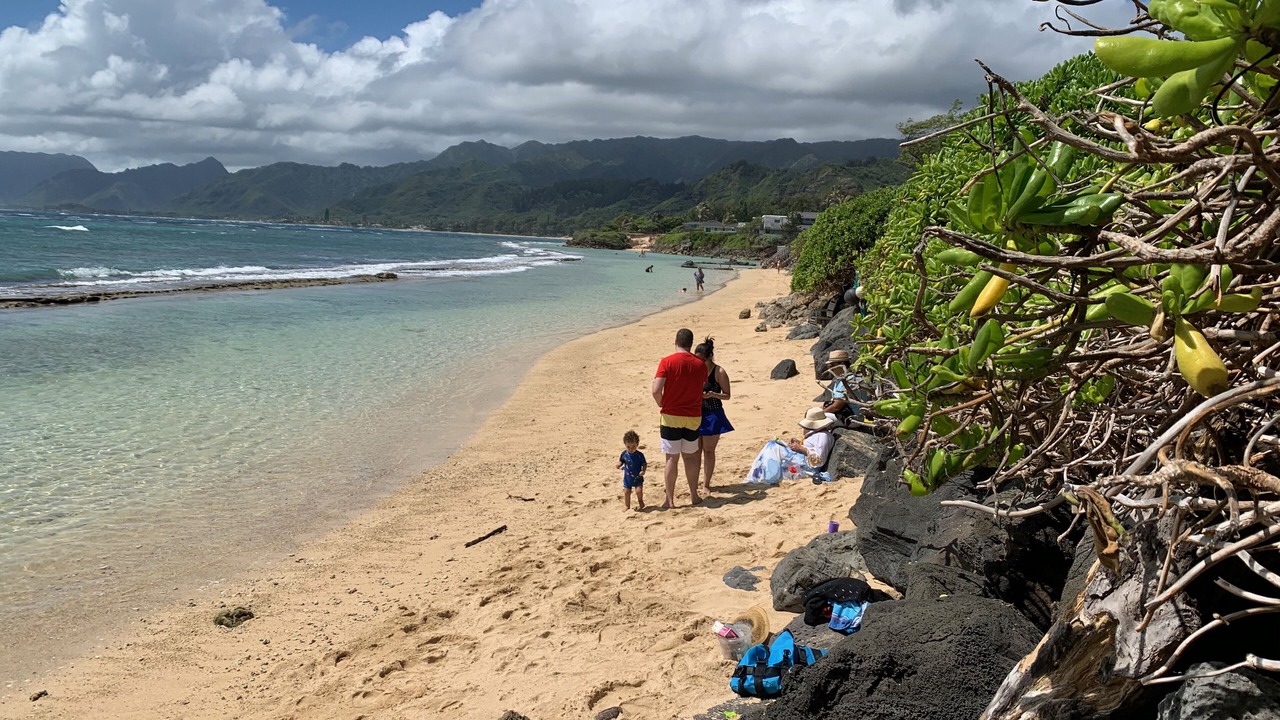 Photo of Others in Laie