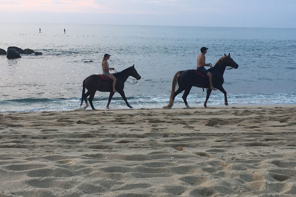 Photo of Others in Pupukea