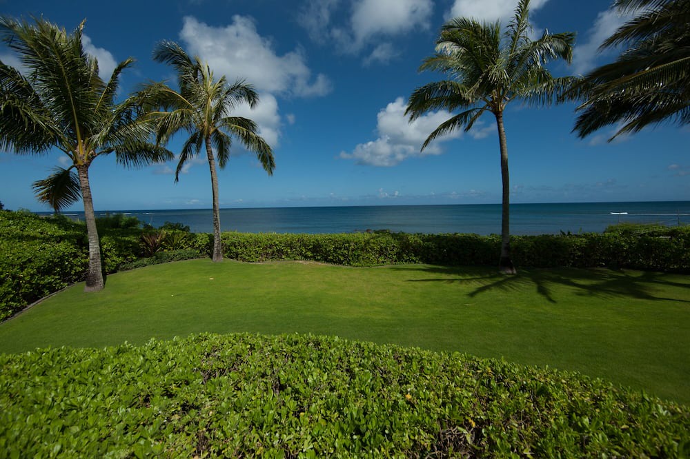 Photo of Others in Pupukea