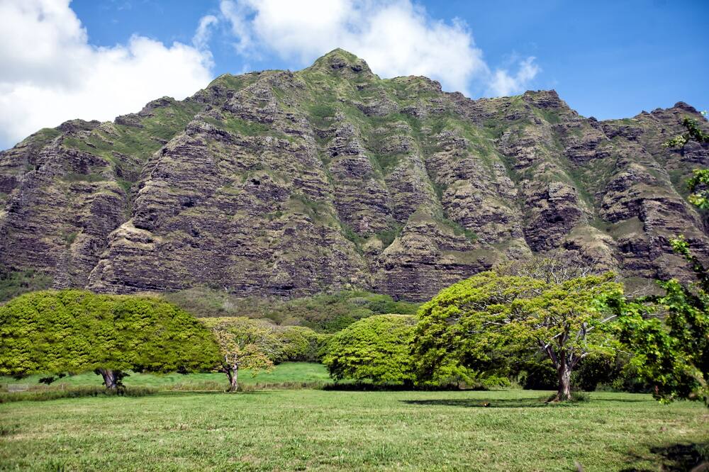 Photo of Others in Pupukea