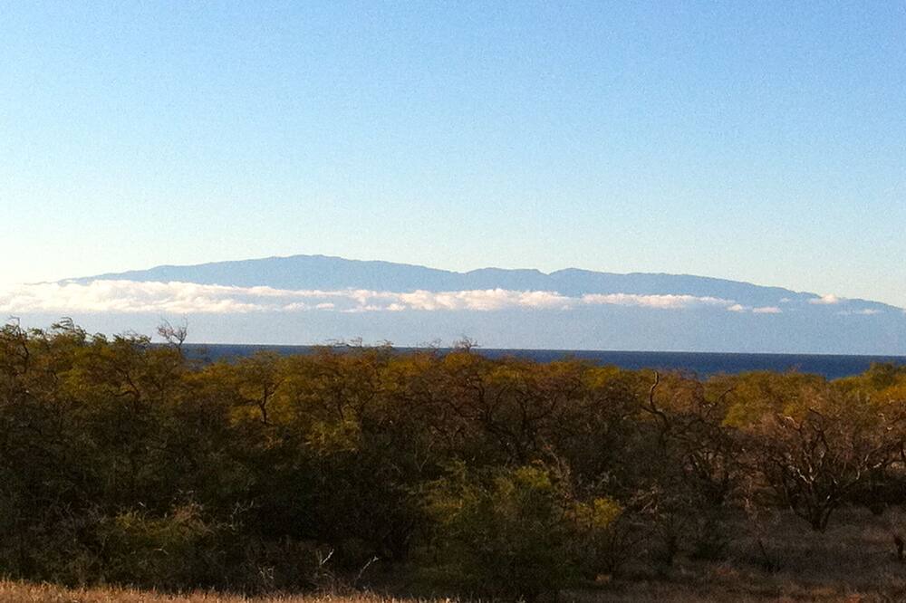 Photo of Others in Hawi