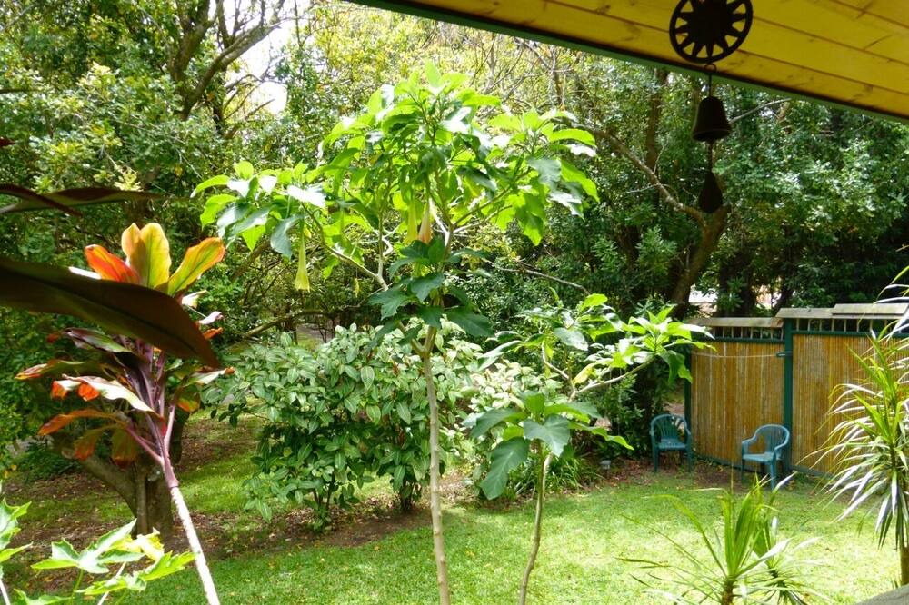 Photo of Outdoor in Hawi