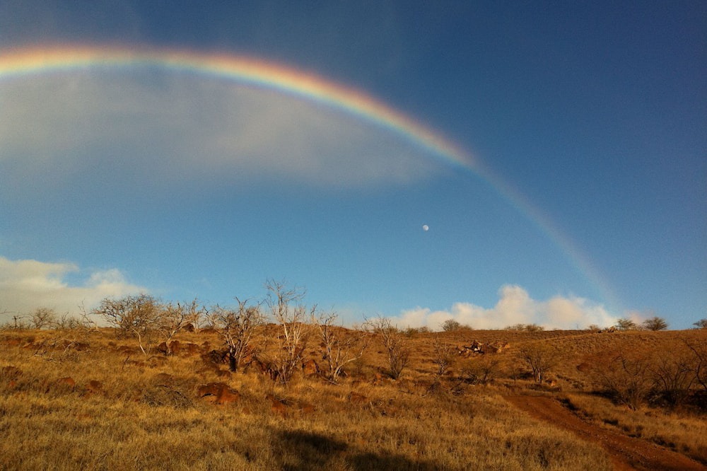 Photo of Others in Hawi