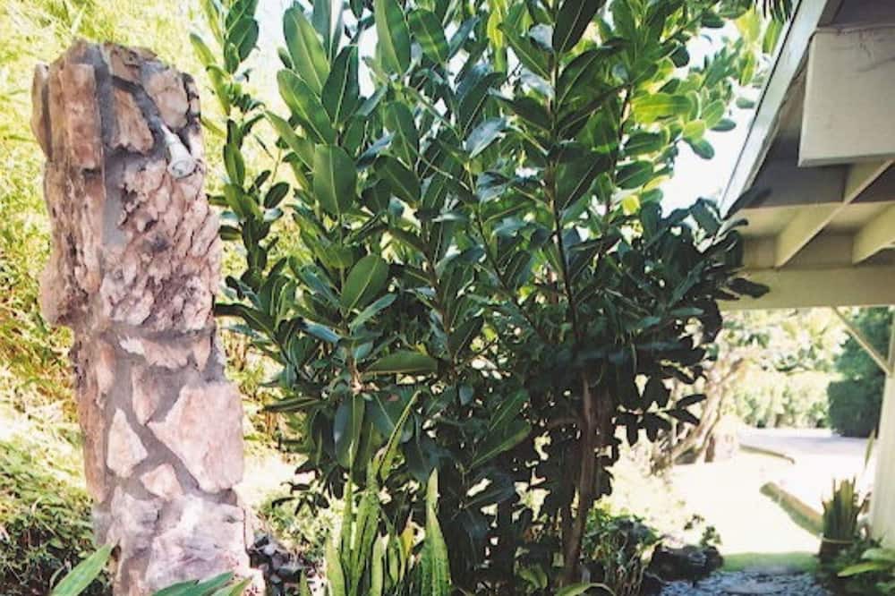 Photo of Outdoor in Lanikai