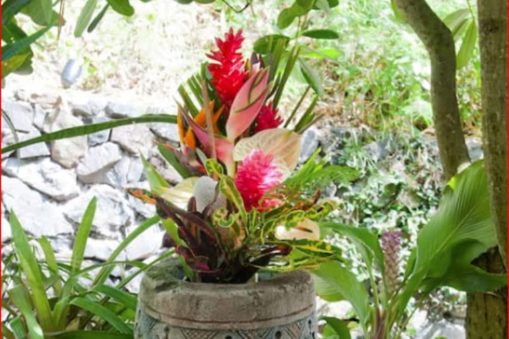 Photo of Outdoor in Lanikai