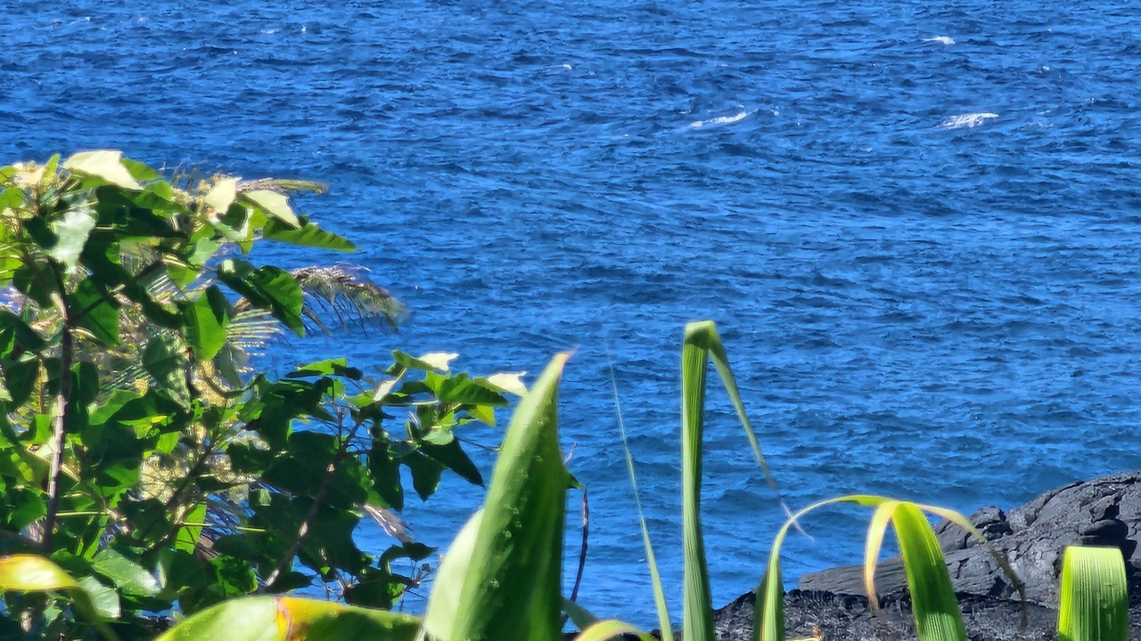 Photo of Outdoor in Kalapana