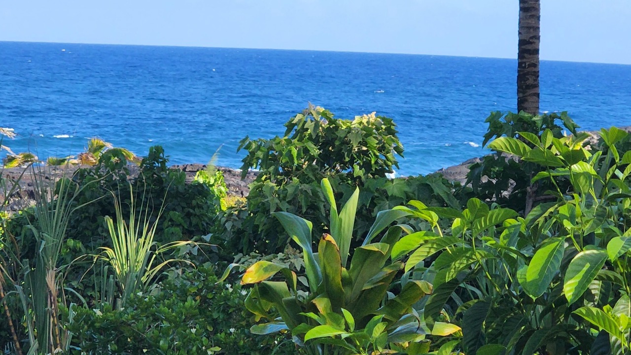 Photo of Outdoor in Kalapana