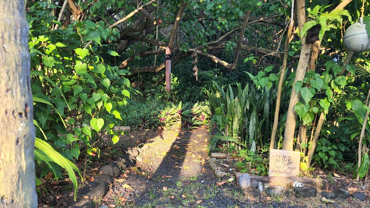 Photo of Outdoor in Kalapana