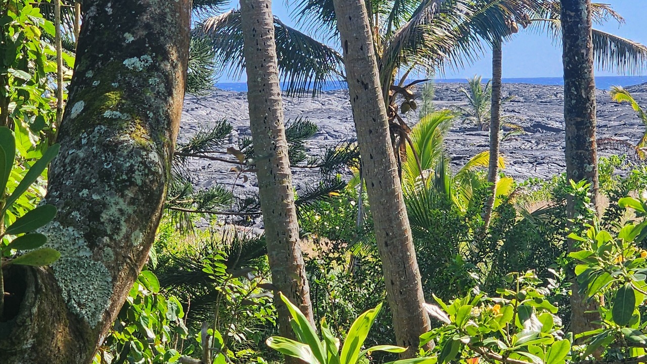 Photo of Outdoor in Kalapana