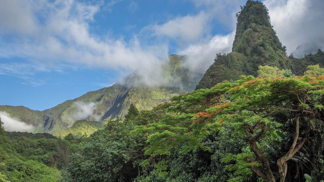 Photo of Outdoor in Wailuku