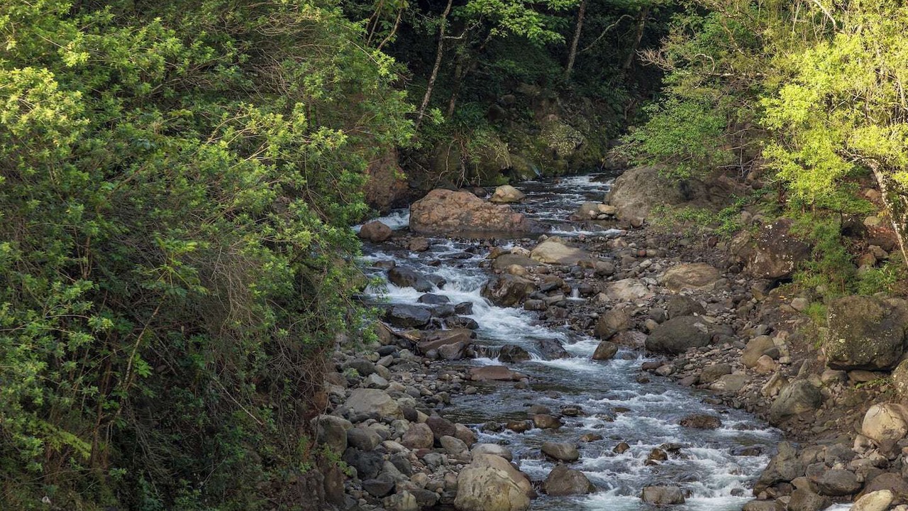 Photo of Outdoor in Wailuku
