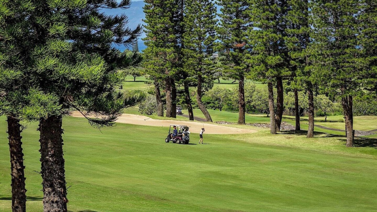 Photo of Outdoor in Wailuku