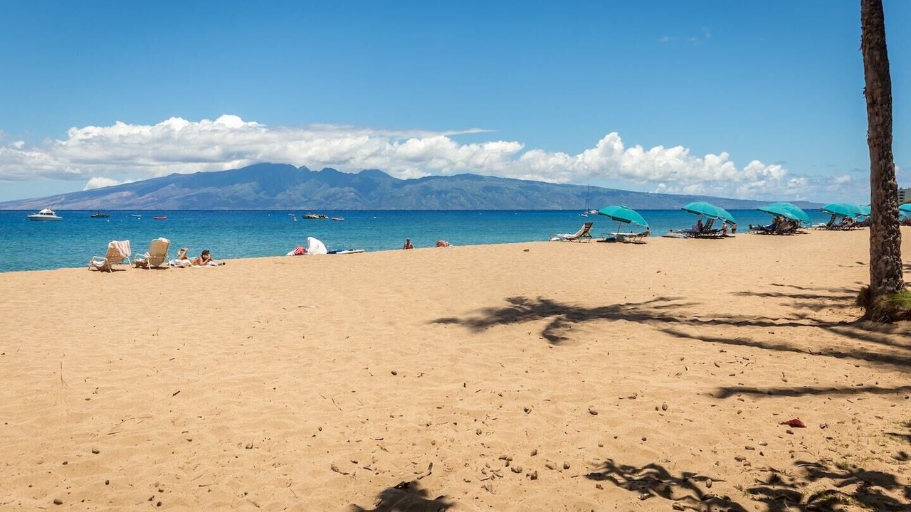 Photo of Outdoor in Wailuku