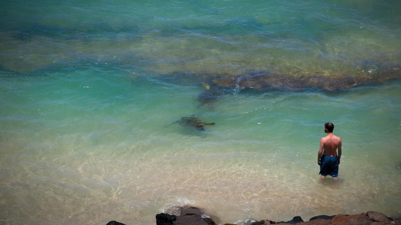 Photo of Outdoor in Wailuku