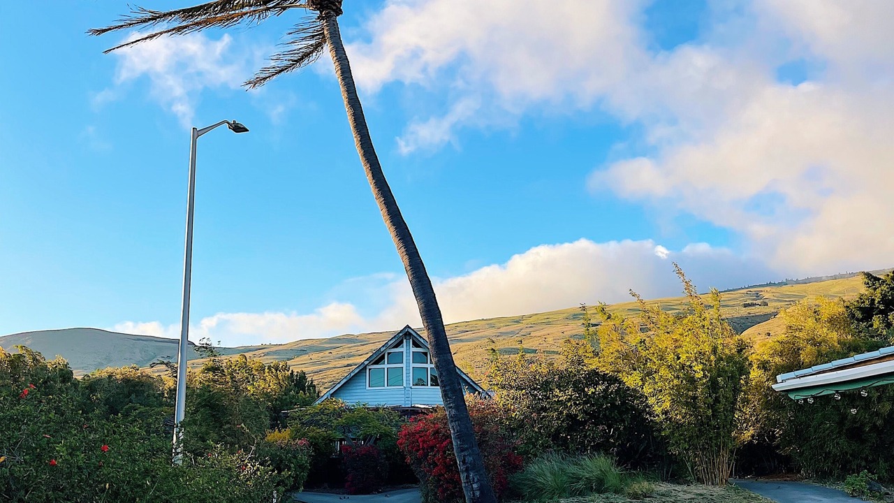 Photo of Outdoor in Kamuela