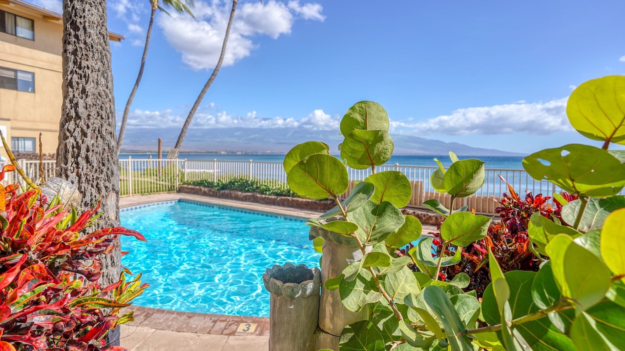 Photo of Others in Maalaea