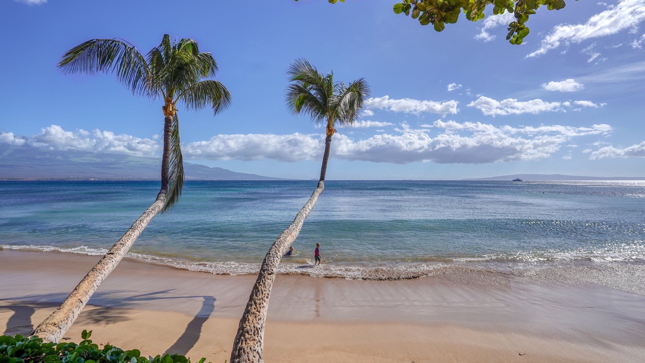 Photo of Others in Maalaea