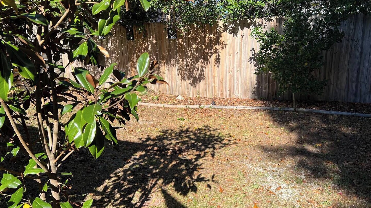 Photo of Outdoor in Wilmington