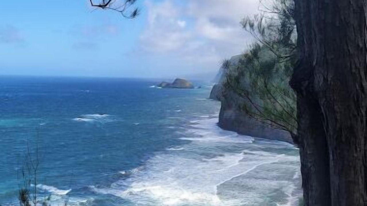 Photo of Others in Hawi