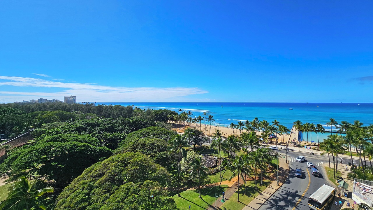Photo of Others in Diamond Head - Kapahulu - St. Louis