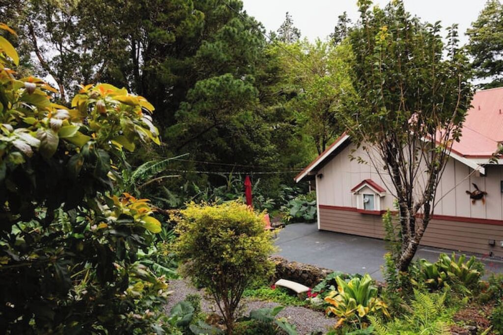 Photo of Outdoor in Kamuela