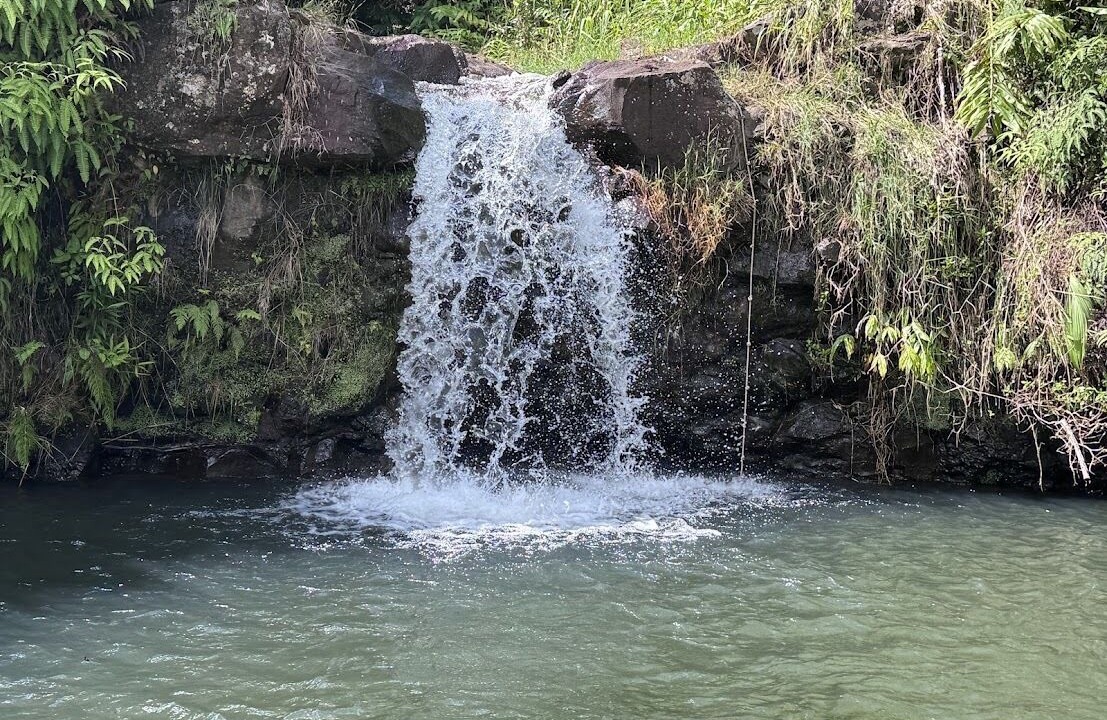 Photo of Others in Hilo