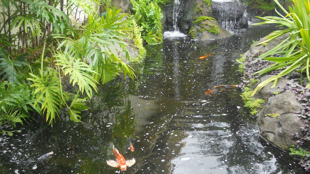 Photo of Outdoor in Hanamaulu