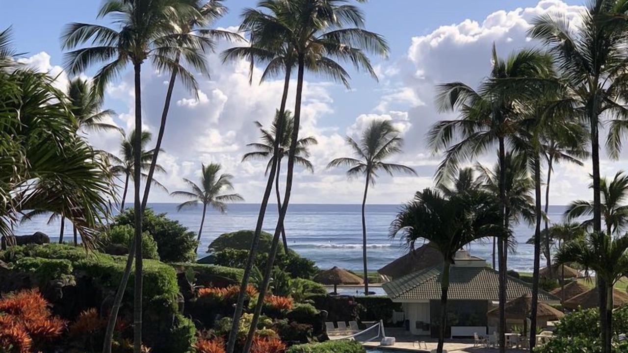Photo of Outdoor in Hanamaulu
