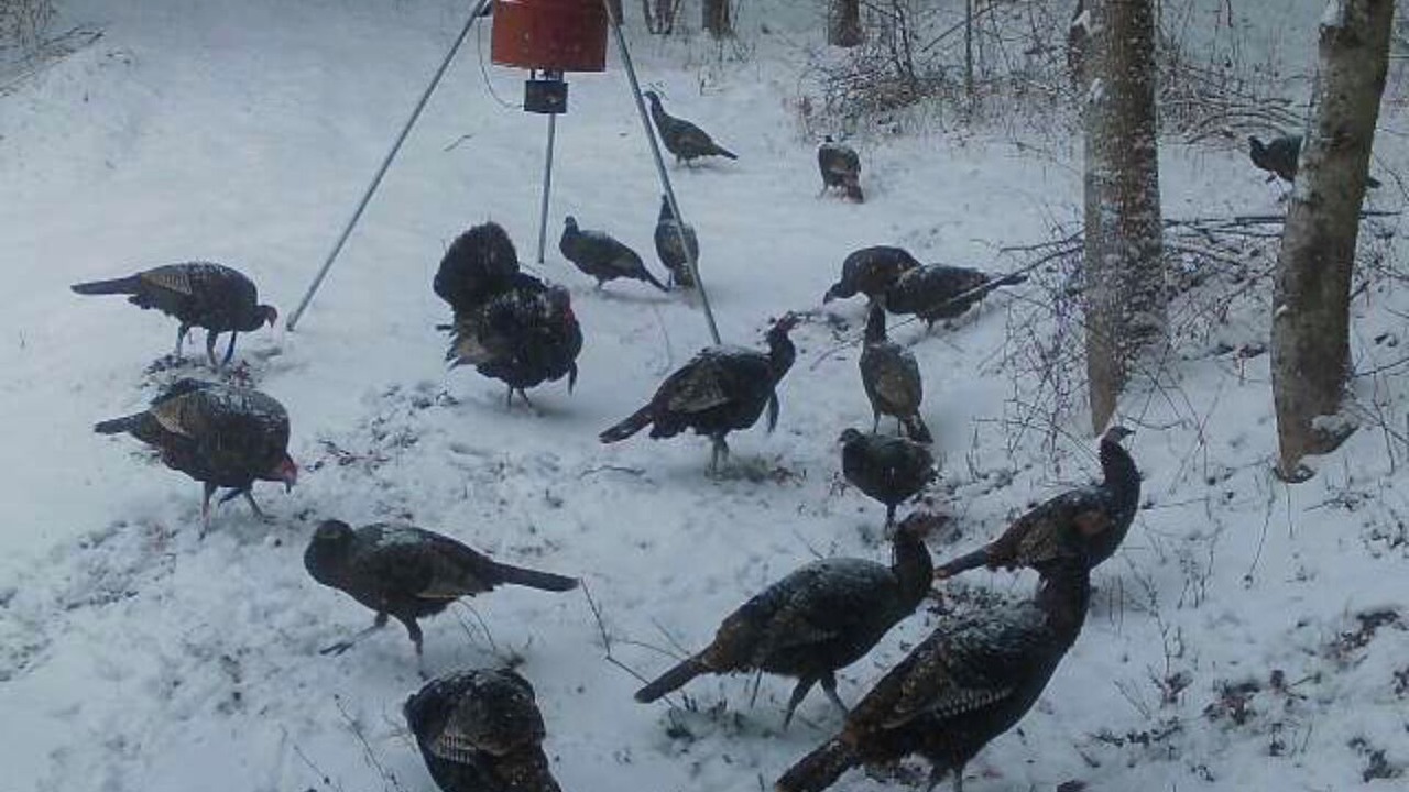 Photo of Others in Bakersville