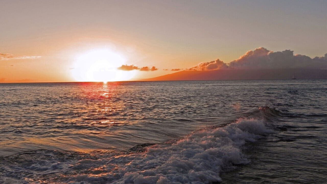Photo of Others in Lahaina
