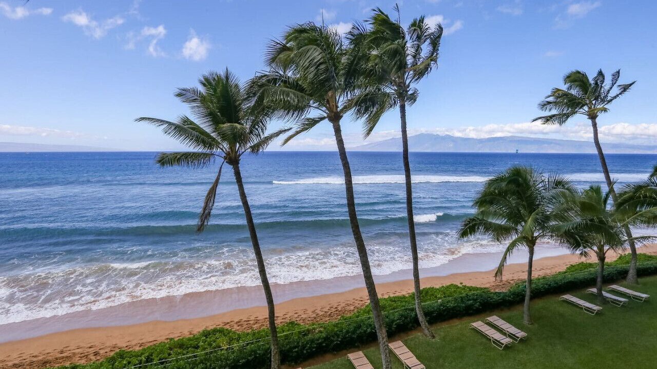 Photo of Others in Lahaina