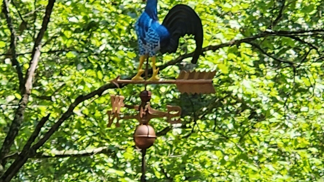 Photo of Outdoor in Hood