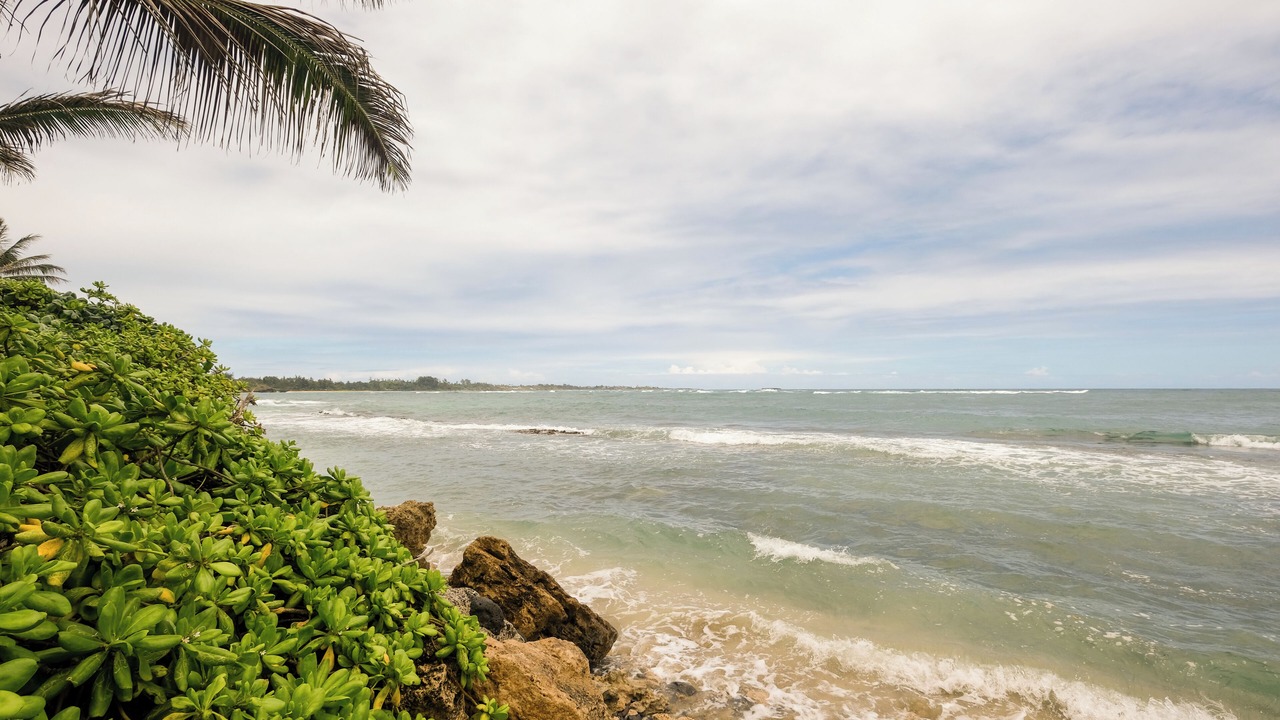 Photo of Others in North Shore