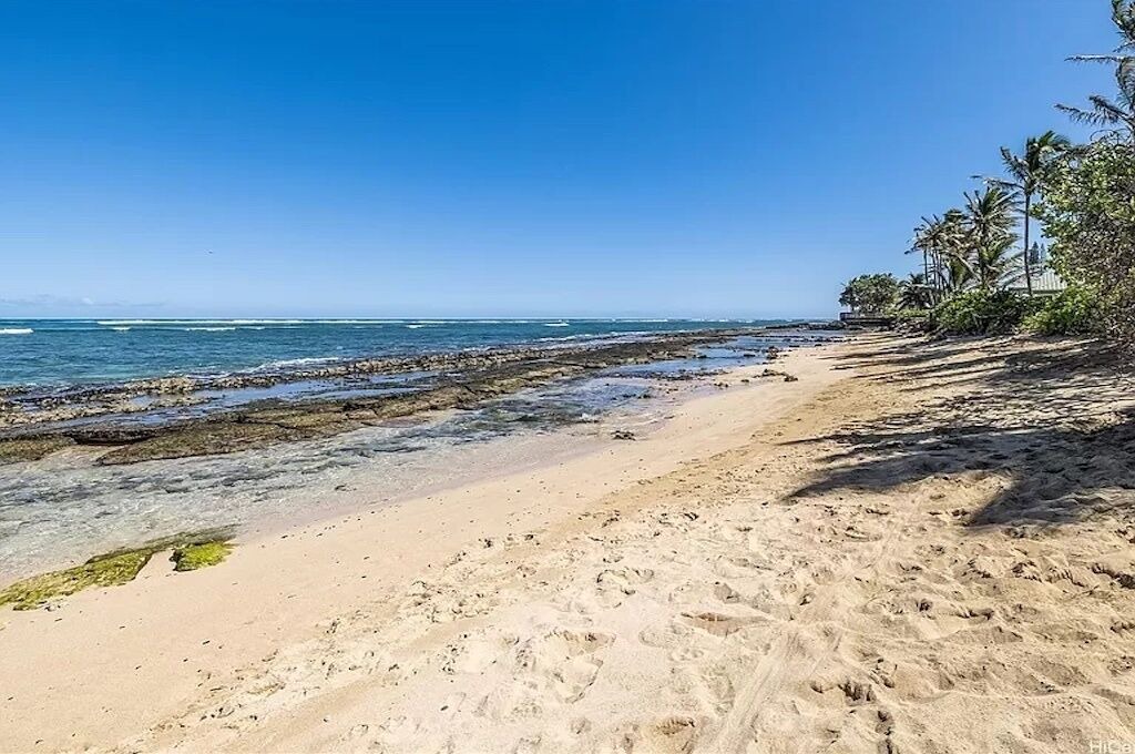 Photo of Others in North Shore