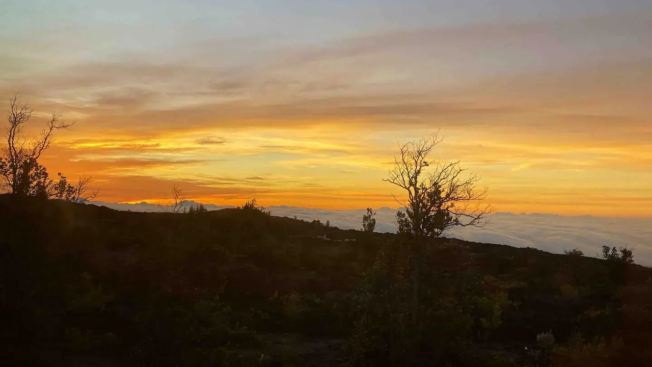 Photo of Others in Ocean View