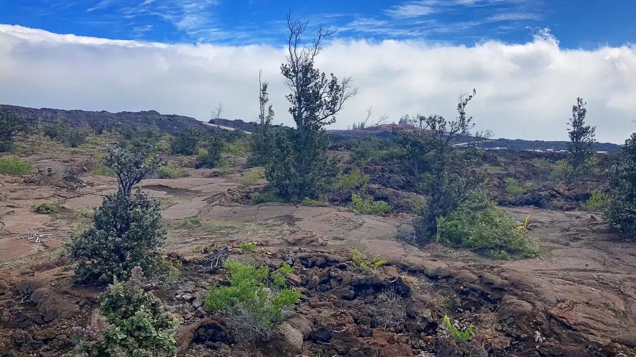 Photo of Outdoor in Ocean View