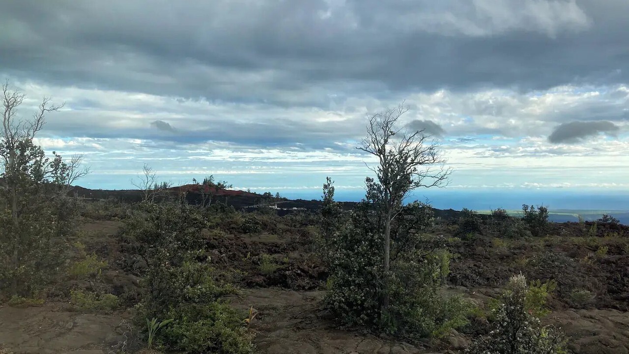 Photo of Others in Ocean View