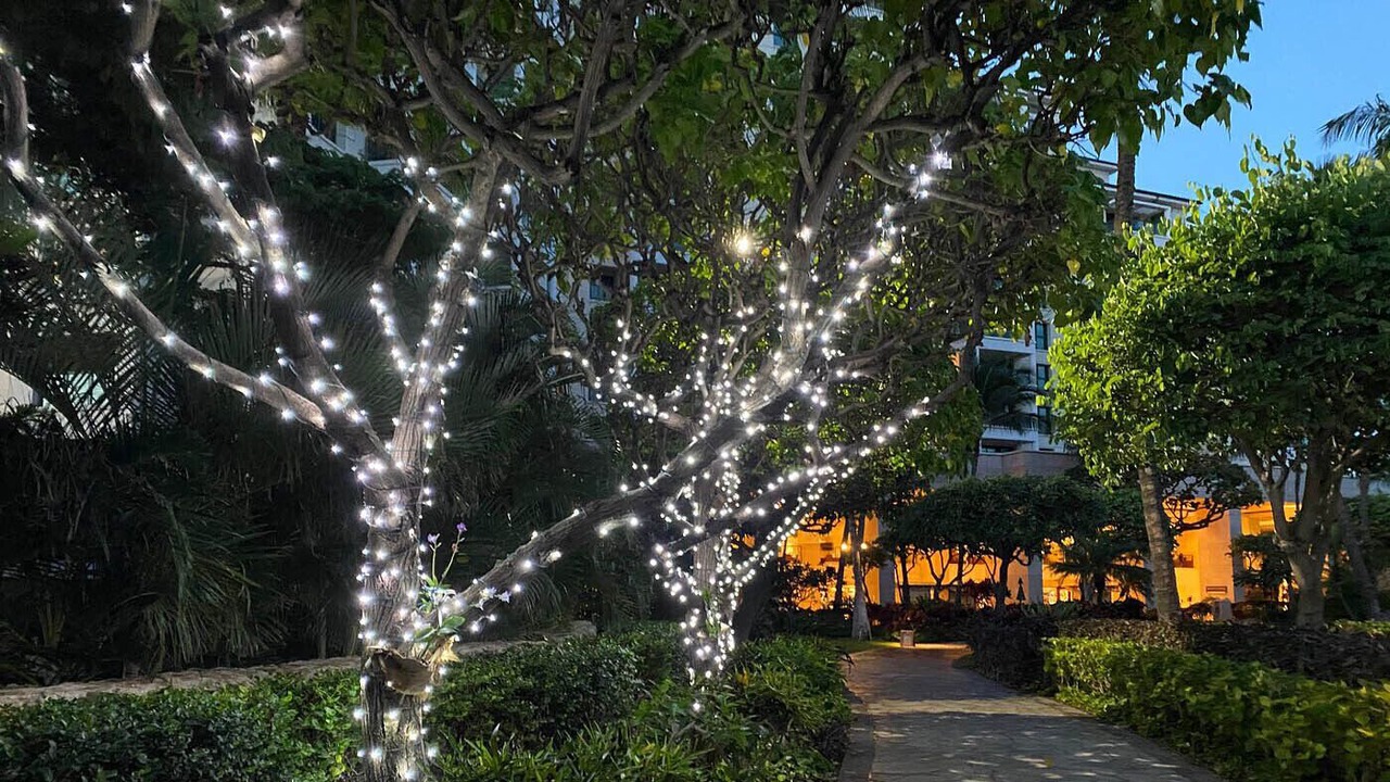Photo of Outdoor in Kapolei