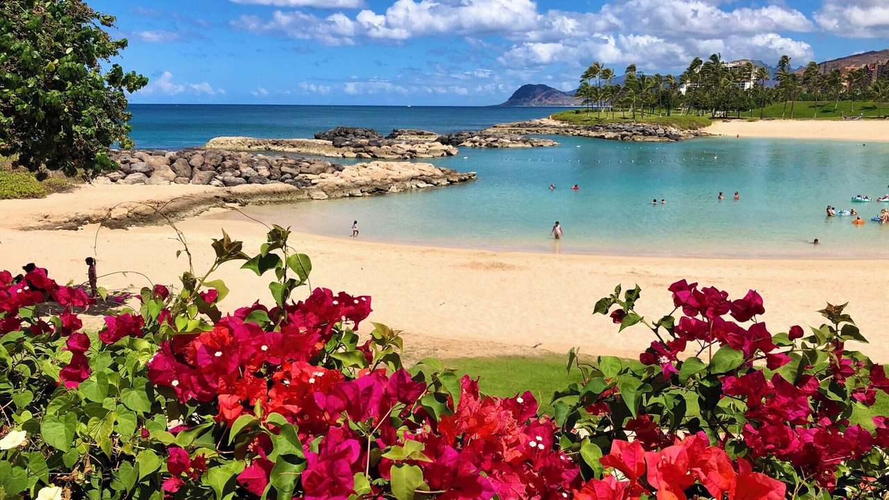 Photo of Others in Kapolei