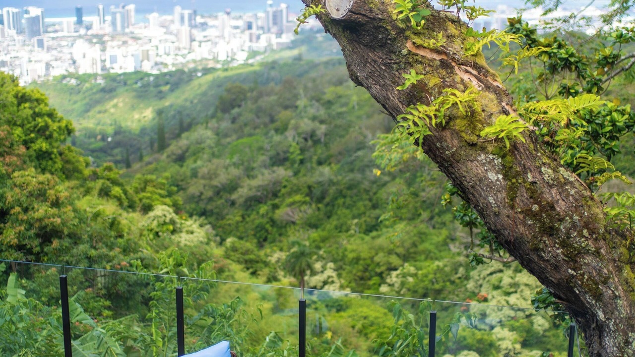 Photo of Outdoor in Manoa