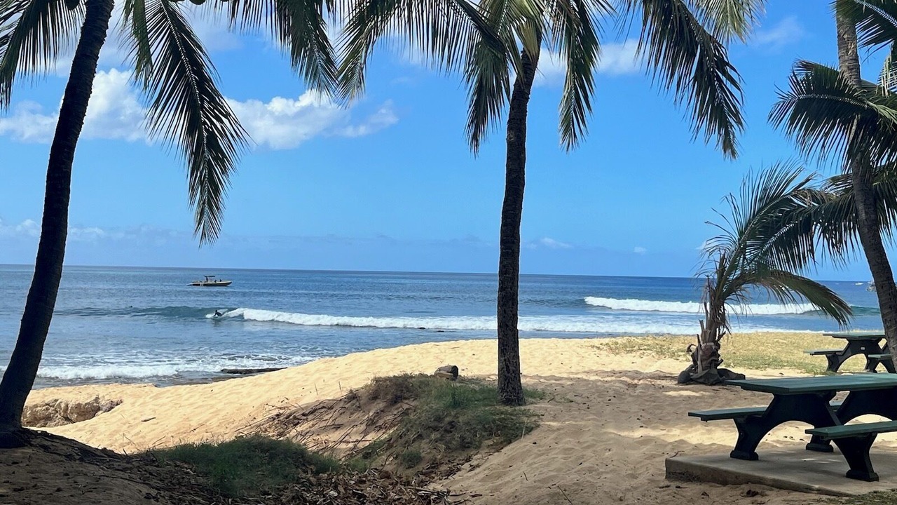 Photo of Others in Makaha