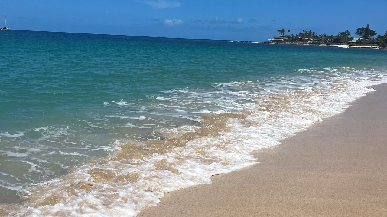 Photo of Others in Makaha
